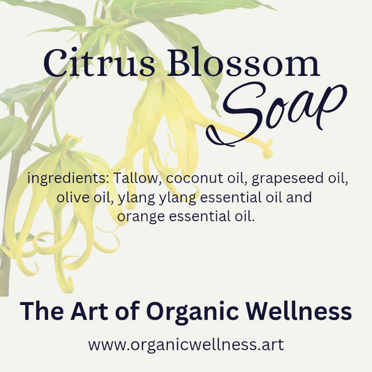 Citrus Blossom